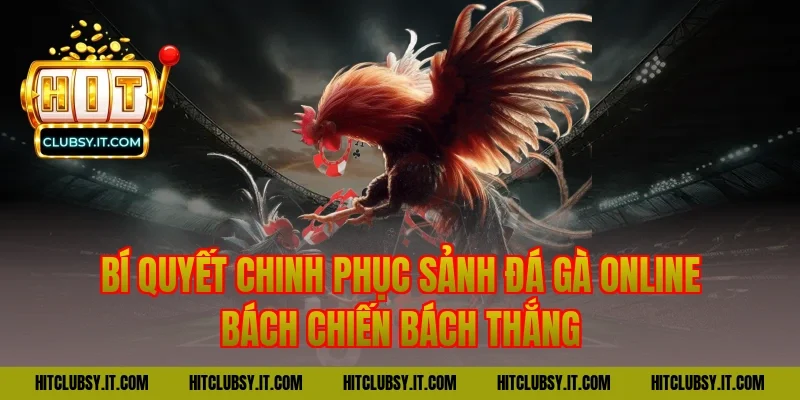 Bí Quyết Chinh Phục Sảnh đá gà online Bách Chiến Bách Thắng