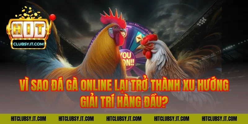 Vì Sao đá gà online Lại Trở Thành Xu Hướng Giải Trí Hàng Đầu?